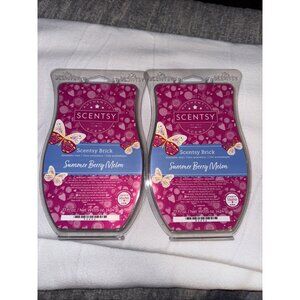 Lot Of 2 Discontinued Scentsy Bricks - Summer Berry Melon 17 Ounce